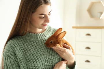 Young woman with adorable rabbit indoors. Lovely pet