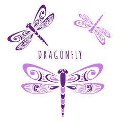 Dragonflies with patterned wings. Styling in flat style. Vector isolated on a white background.