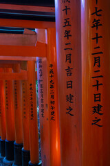 Famosi torii del tempio Fushimi-inari a Tokyo 