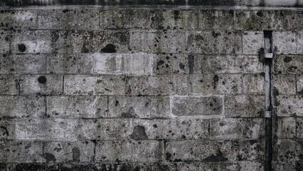 Fototapeta premium texture old white, brick wall grunge background