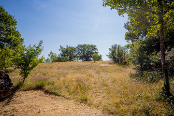 Sur le chemin des Ruines de Taillefer