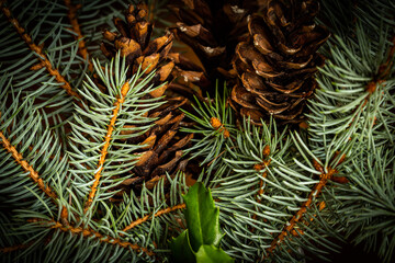 Naklejka na ściany i meble Close up of Christmas bouquet with pine tree branches, pine cones and holly tree leaves