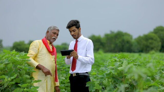 Indian farmer with agronomist at Cotton field , showing some information on tab