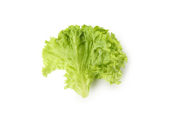 Leaf of green salad isolated on white background