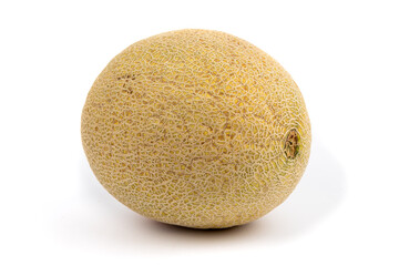 a large ripe cantaloupe melon isolated on white