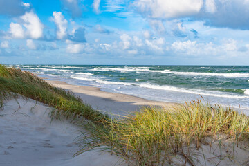 Rough sea with waves in autumn or winter, sandy beach and dunes with reeds and dry grass in the morning