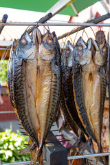 Dry smoked spiced mackerel fresh fish in a fish market ready to eat, vertical