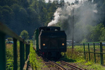 Narrow gauge railway with steam train near Majdan station in Poland