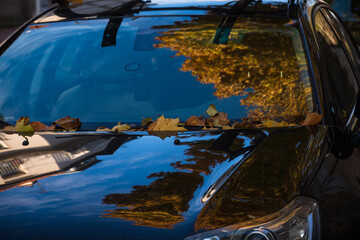 Car standing on street with maple autumn leaves on windshield and beautiful reflection of golden...