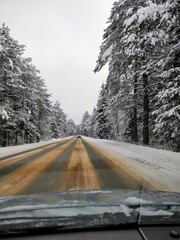 Fototapeta premium road in winter forest
