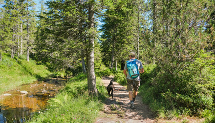 Acitve senior man with dog hiking in forest - Weekend acitvity