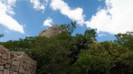 Enorme monolito entre ramas y árboles