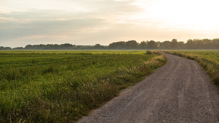 Fototapeta na wymiar Rural gravel path green landscape on a bright sunny sky