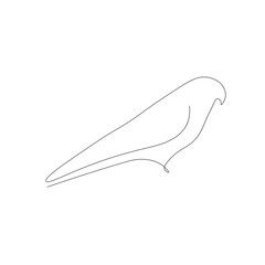 Bird line drawing, vector illustration