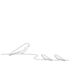 Birds line drawing on white background, vector illustration