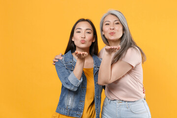 Charming pretty family asian female women girls gray-haired mother and brunette daughter in casual...