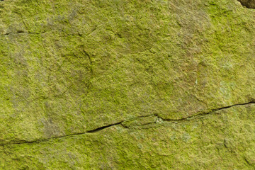Close-up, detailed texture, stone covered with green moss, green stone