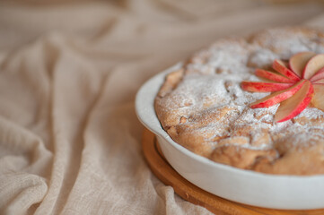 apple pie charlotte sprinkled with powdered sugar on a neutral background