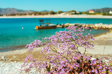 Amazing view of a beautiful beach and clear turquoise water on the Mediterranean coast in Greece....