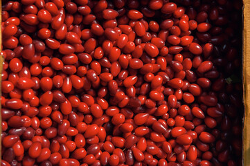 ripe, shiny red dogwood berries are in a box on the market counter. Dogwood crop on sale