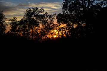 sunset in the forest