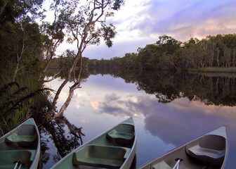 Canoes settling for the night after a day of exploring the river system in the Wilderness Eucalyptus  - 378179468