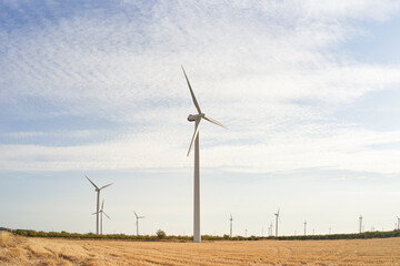 Wind turbines. Landscape at sunrise with windmills.
