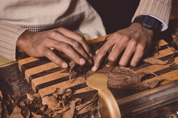 Process of making traditional cigars from tobacco leaves with hands using a mechanical device and press. Leaves of tobacco for making cigars. Close up of men's hands making cigars.