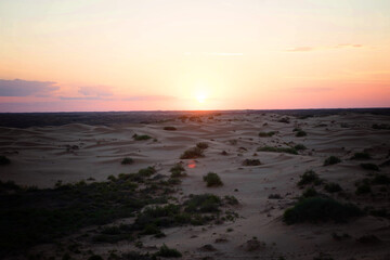 Obraz premium yellow sand on the dune