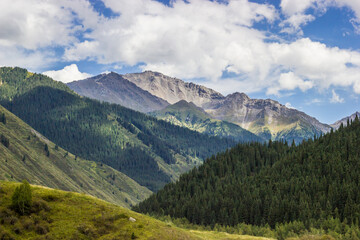 Fototapeta na wymiar Beautiful Summer scenery. Mountains, hills, green grass, trees and cloudy blue sky. Kazakhstan.