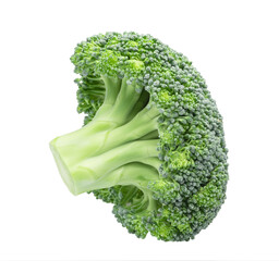 one broccoli isolated on white