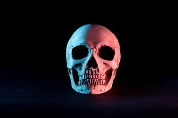 Human skull on a black background. Skull with blue and red illumination. Front view.