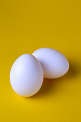 .chicken eggs on yellow background