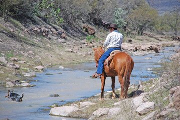 horse and rider on river