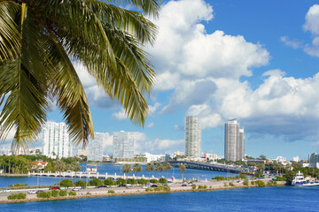 Fototapeta na wymiar VIew at Miami, MacArthur Causeway, USA, Florida through palm brunch