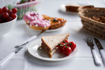 Delicious sandwich and tomatoes on white plate