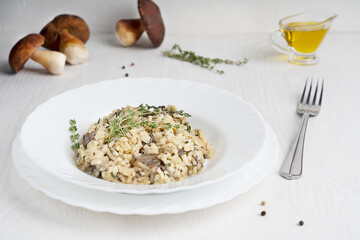 Creamy fungus risotto or Italian arborio rice dish with broth, cepe, thyme, white wine and parmesan cheese served in plate with fork on white wooden background. Image with copy space, selective focus