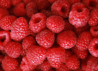 Fresh and sweet raspberries background, close up picture