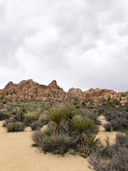 Desert Landscape, Rock Cliffs and Cloudy Sky in Joshua Tree National Park, California, USA