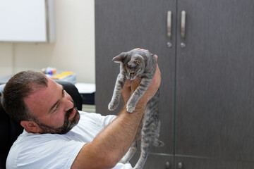 Middle age bearded man playing at his office with beautiful little kitty