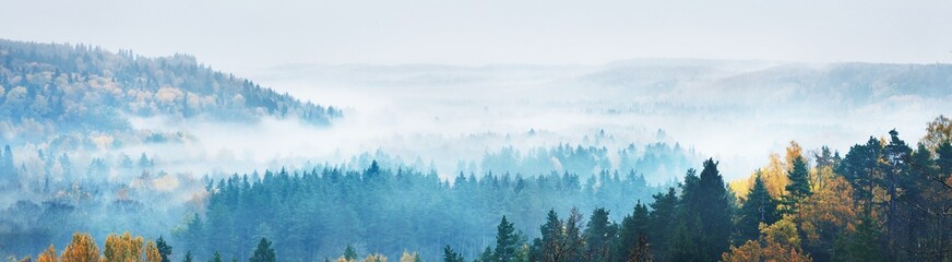 Gauja river valley and pine forest in a clouds of thick mysterious morning fog at sunrise. Sigulda, Latvia. Breathtaking panoramic aerial view. Pure nature, environmental conservation, eco tourism
