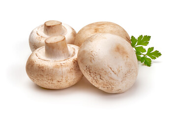 Champignon mushrooms, isolated on white background