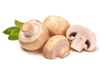 Champignon mushrooms, isolated on white background