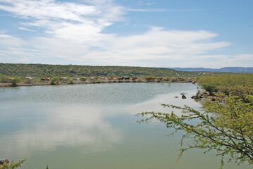 Fototapeta premium landscape with lake
