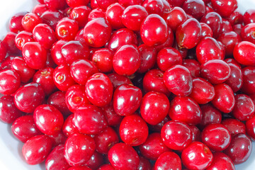 Red cherries close up background texture