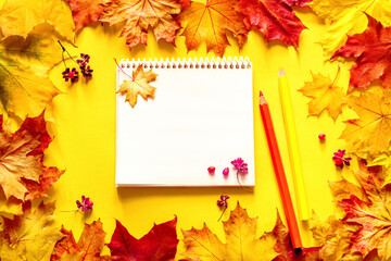 Naklejka na ściany i meble Open notebook with blank white pages for text, two colored pencils on bright autumn leaves, top view, flat lay. Colorful autumn background. 