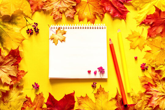 Open notebook with blank white pages for text, two colored pencils on bright autumn leaves, top view, flat lay. Colorful autumn background. 