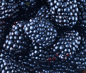 Fresh Ripe Blackberries, close up