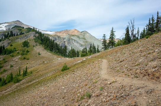 Hiking trail through remote mountain range, Goat Rocks Wilderness, Washington