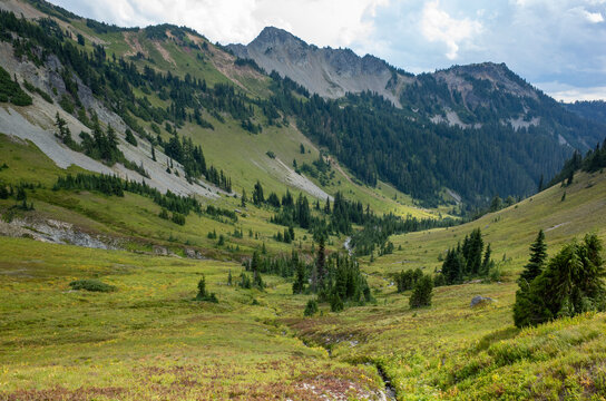 View of alpine meadow and Cascade Range, Goat Rocks Wilderness, Washington